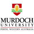 ����������� � ���. Murdoch University Dubai 